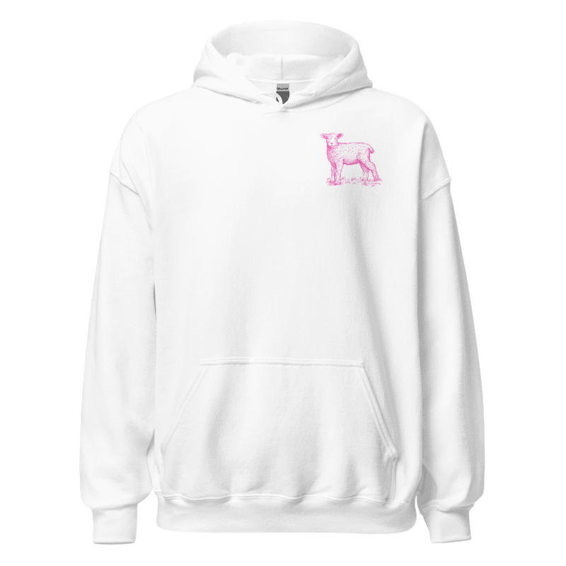 "He left the 99 to find me" Hoodie