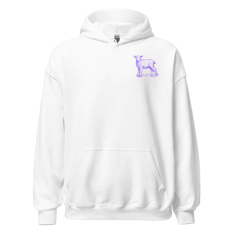 "He left the 99 to find me" Hoodie